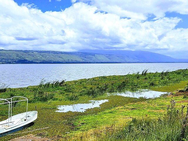 Ol Bolossat Wetland Sanctuary - Mindful Reflection