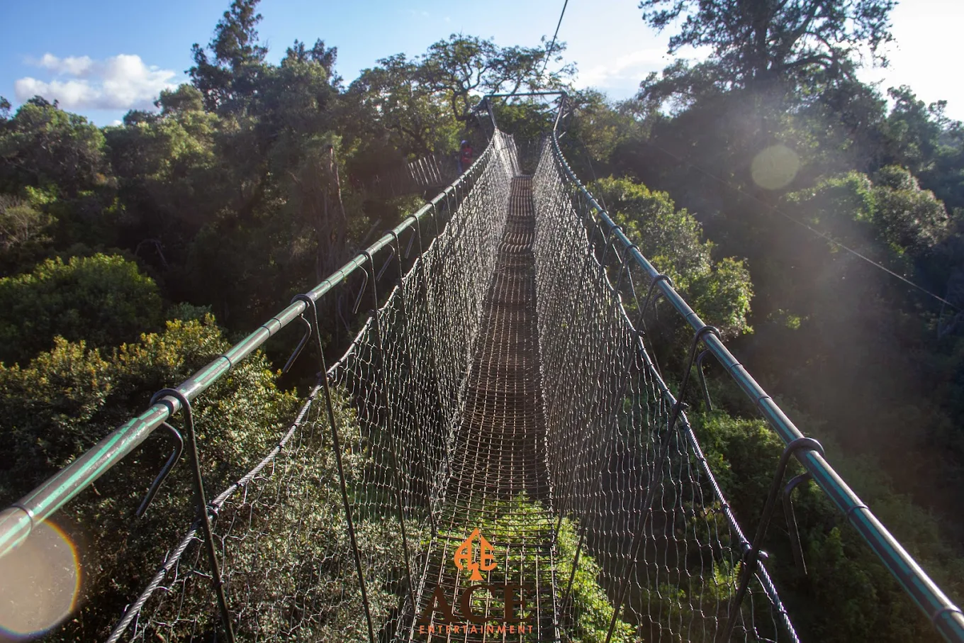 Ngare Ndare Forest - Nature Therapy