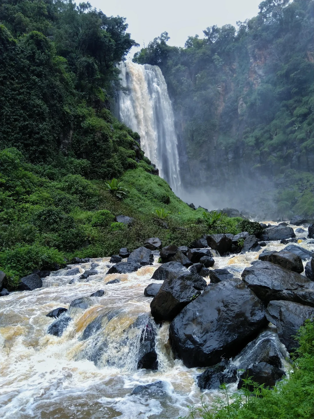 Thomson's Falls - Natural Wonder